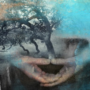 Mixed medium photo based illustration of hands in meditation with tree.